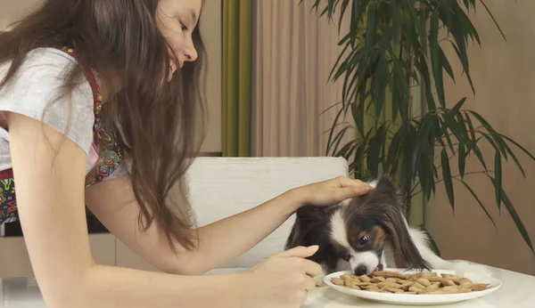 Teen flicka med hund Papillon förbereda cookies, unna sig bakade cookies — Stockfoto