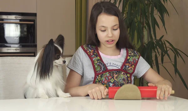 Menina adolescente e cão Papillon preparar biscoitos, massa de rolamento com rolo — Fotografia de Stock