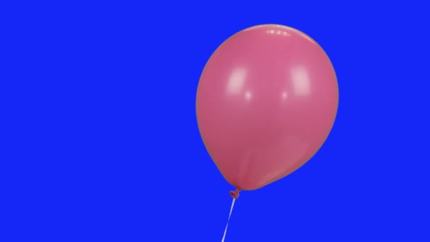 Rosa ballong med helium flugor på en blå hromakey arkivfilmer video — Stockvideo