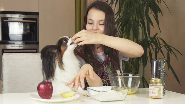 Teen dziewczyna z psem Papillon przygotować pliki cookie, Zagnieść ciasto — Zdjęcie stockowe