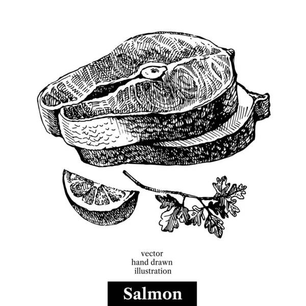 Somon Balığı Parçalarının Çizimi Deniz Ürünleri Vektörü Siyah Beyaz Klasik — Stok Vektör