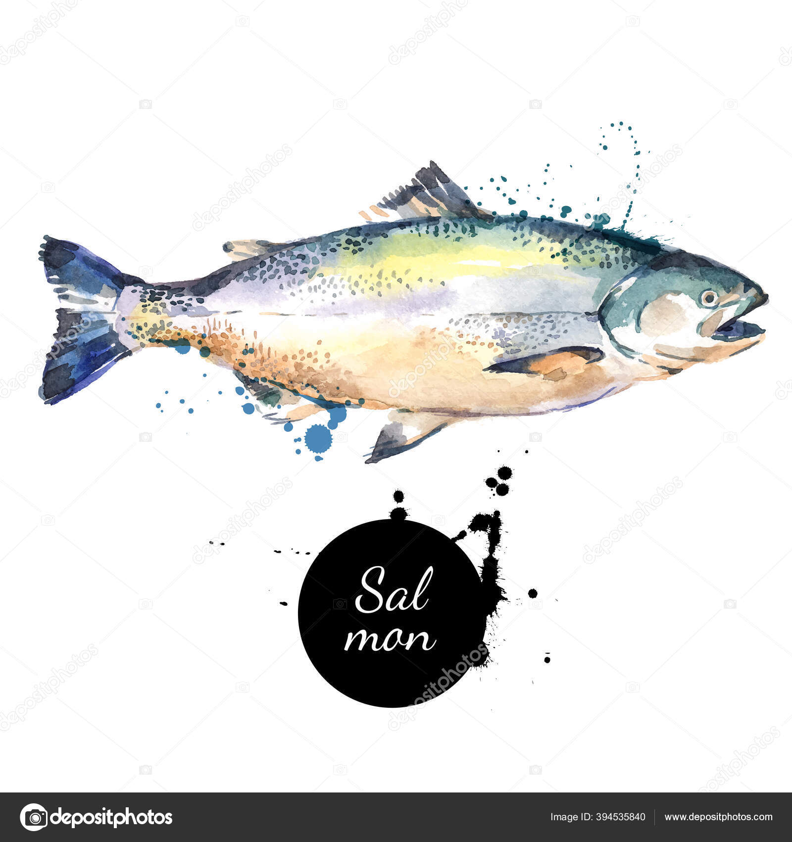 水彩手描きサーモン 白を基調とした隔離された新鮮な魚介類のベクトルイラスト ストックベクター C Pimonova