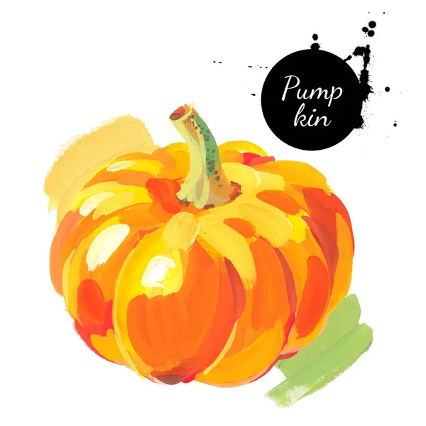 Pumpkin Hand Drawn Sketch Watercolor Acrylic Painting White Background Vector — Stock Vector