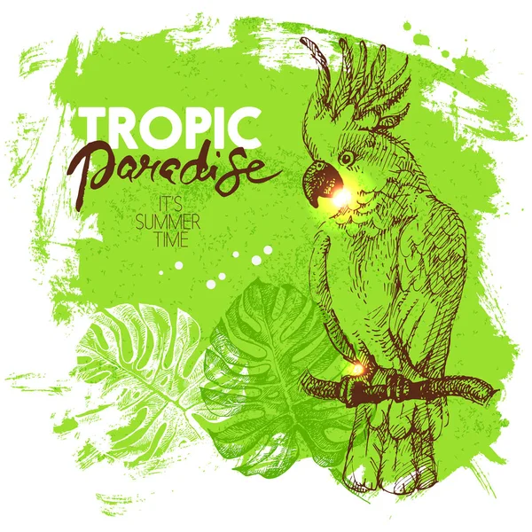Handgezeichnete Skizze Tropisches Paradies Pflanzen Und Vögel Hintergrund Vektorillustration — Stockvektor