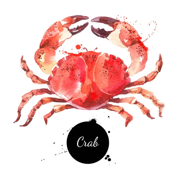 Watercolor Hand Drawn Crab Isolated Fresh Seafood Vector Illustration White — Stock Vector