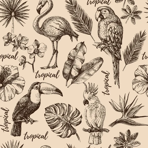 Met Hand Getekend Schets Tropische Paradijs Planten Vogels Vintage Naadloos — Stockvector