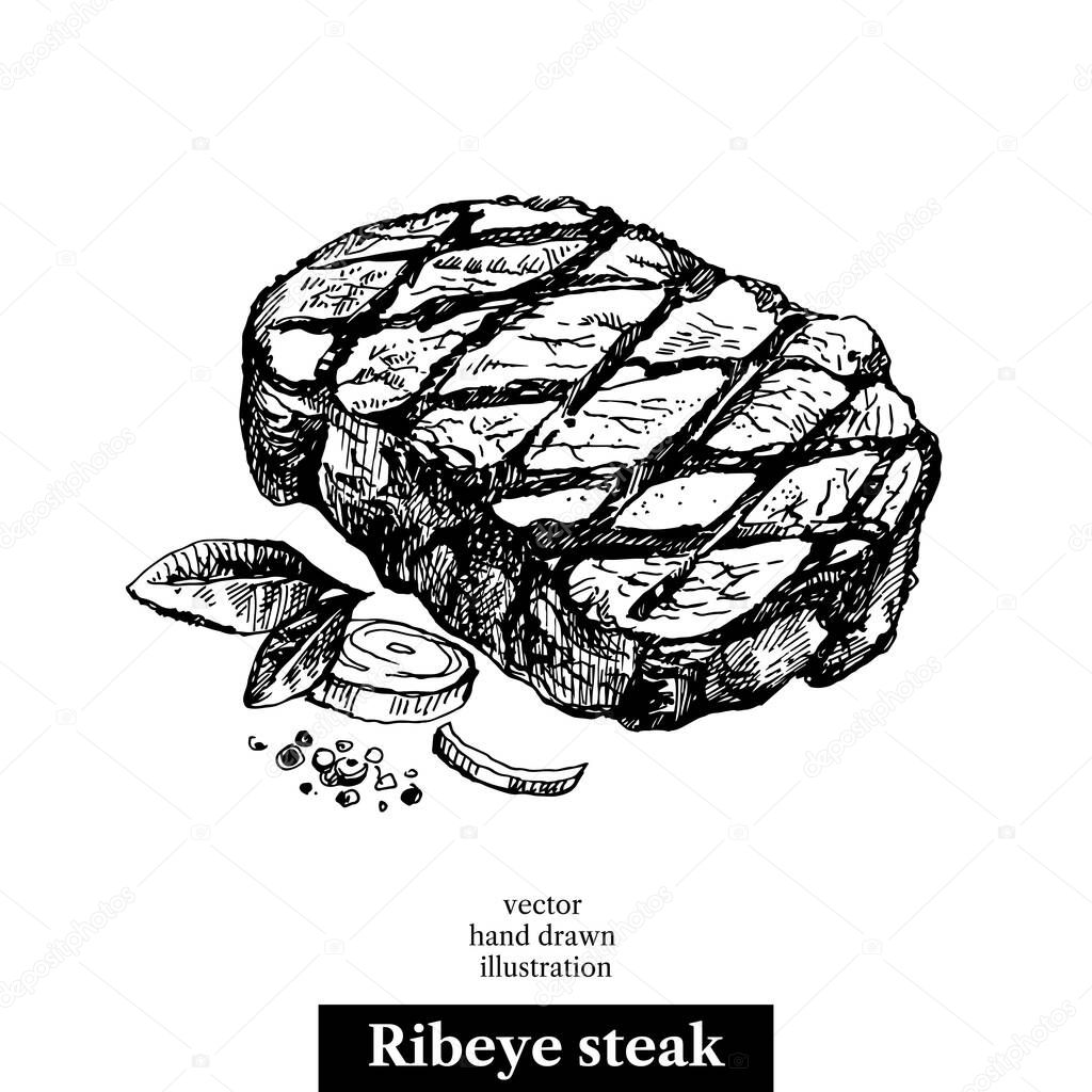 Hand drawn sketch ribeye steak. Isolated vector food illustration on white backgroun