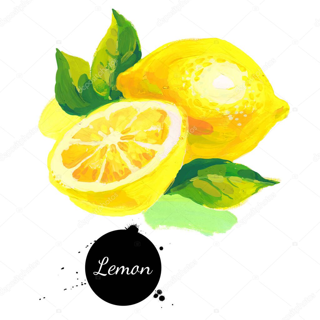 Hand drawn sketch acrylic watercolor painting on white background. Vector illustration of fruit lemo