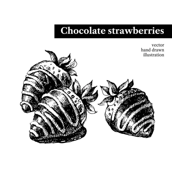 Handgezeichnete Skizze Schokolade Erdbeeren Dessertbar Vektor Schwarz Weiß Vintage Illustration — Stockvektor