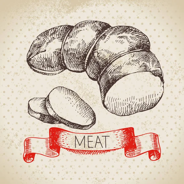手绘素描肉制品 矢量复古火腿插图 菜单设计 — 图库矢量图片