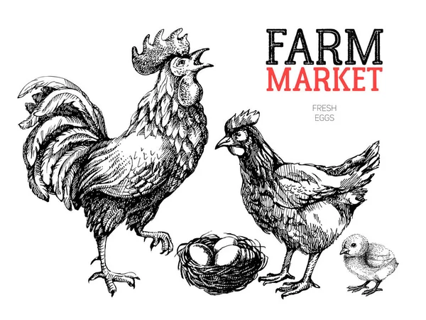 Plakatentwurf Für Den Bauernmarkt Hühner Hähne Und Eier Handgezeichnete Skizze — Stockvektor