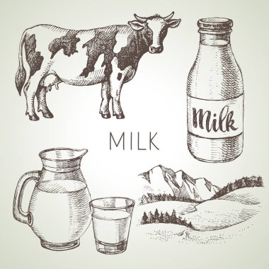 El çizimi süt ürünleri seti. Siyah ve beyaz vektör vintage illüstrasyonuName