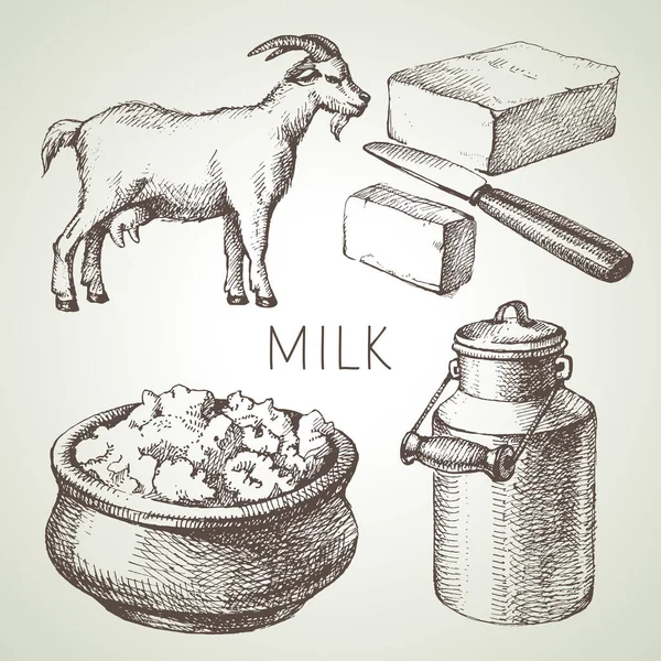 Çizimi Süt Ürünleri Seti Siyah Beyaz Vektör Vintage Illüstrasyonuname — Stok Vektör