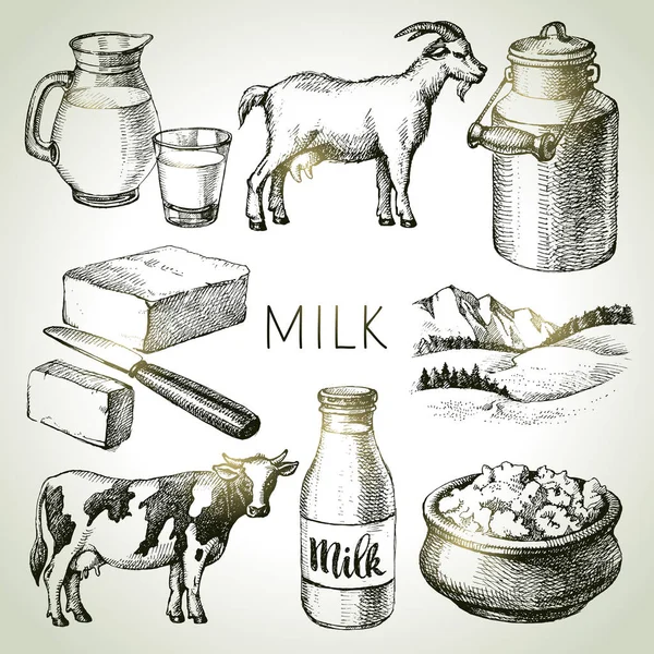 Çizimi Süt Ürünleri Seti Siyah Beyaz Vektör Vintage Illüstrasyonuname — Stok Vektör
