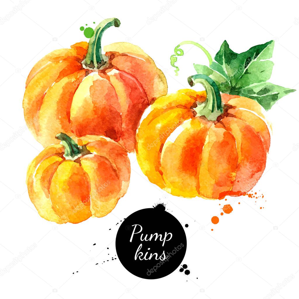 Watercolor hand drawn sketch Happy Thankgiving Pumpkin. Vector holiday isolated painted illustration on white background