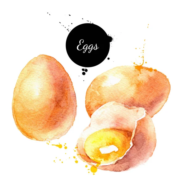 Huevos Acuarela Producto Vector Ilustración Pintado Aislado Orgánico Natural Alimentos — Archivo Imágenes Vectoriales