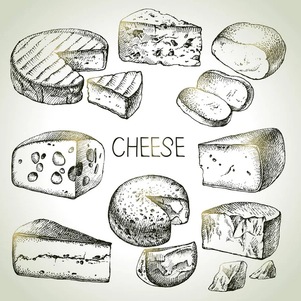 Dibujo Dibujado Mano Tipos Queso Conjunto Ilustración Vectorial Alimentos Naturales — Vector de stock