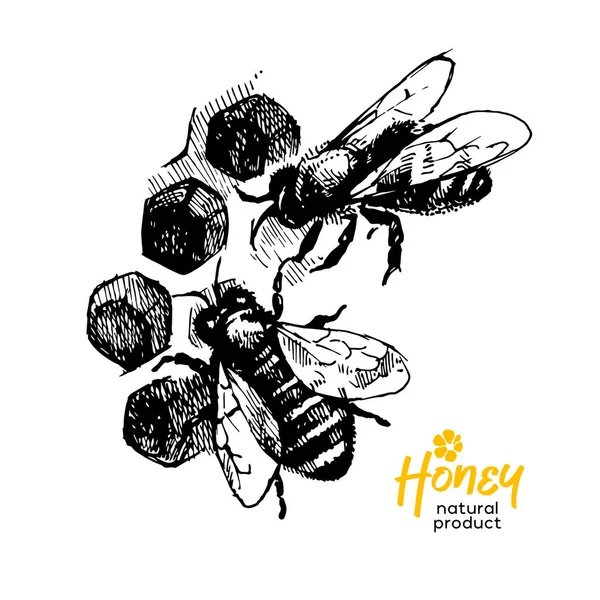 Handgezeichnete Skizze Honig Hintergrund Jahrgangs Vektorillustration Von Bienen Und Waben — Stockvektor