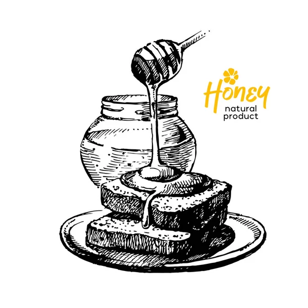 Handgezeichnete Skizze Honig Hintergrund Vintage Vektorillustration Natürlicher Gesunder Lebensmittel — Stockvektor