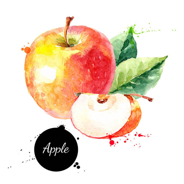 Watercolor hand drawn yellow and red apple. Isolated eco natural food fruit illustration on white background