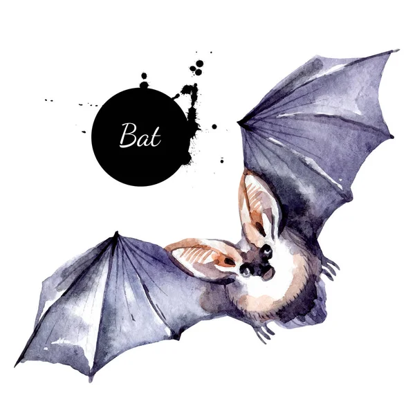 水彩画蝙蝠吸血鬼图解 Vactor在白色背景上画了孤立的万圣节元素 — 图库矢量图片