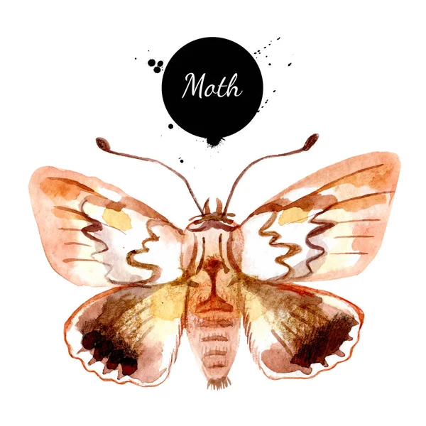 水彩蛾蝶イラスト ベクトルは白い背景に隔離されたハロウィン昆虫の要素を描いた — ストックベクタ