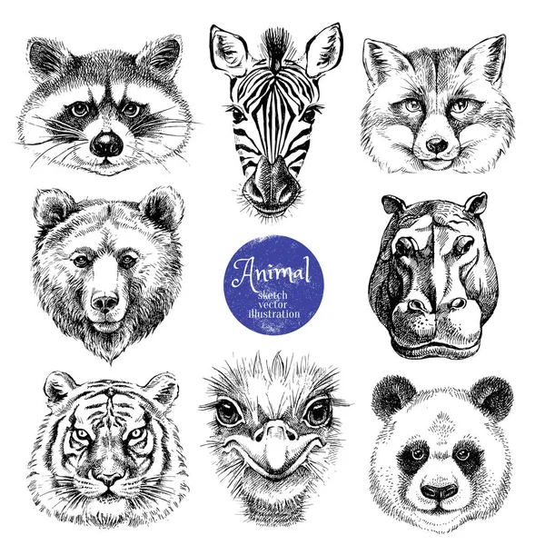 Hand Drawn Sketch Animal Heads Vector Illustration Isolated Cute Trendy — Stock Vector