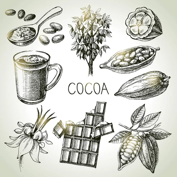 Set Prodotti Cioccolato Cacao Disegnato Mano Illustrazione Vettoriale Vintage Cibo — Vettoriale Stock