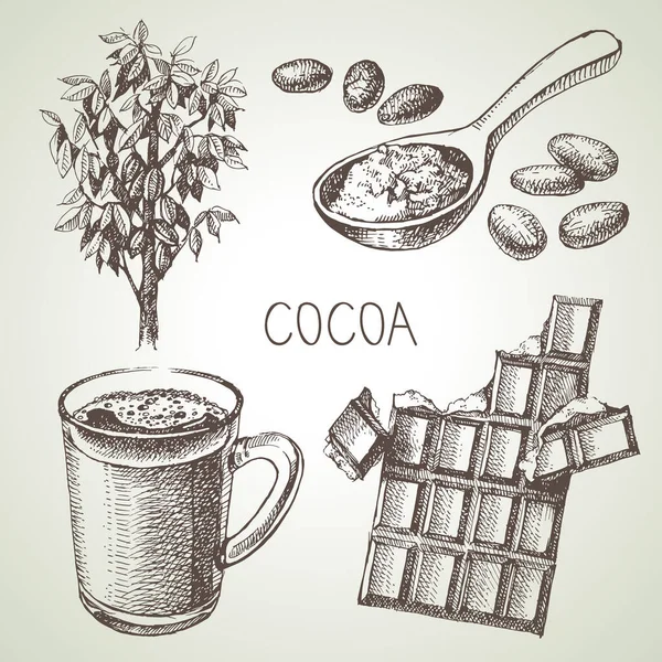 Handgezeichnete Skizze Kakao Schokolade Produkt Set Vintage Vektorillustration Natürlicher Gesunder — Stockvektor