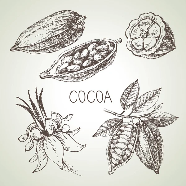 Hand Drawn Sketch Cocoa Chocolate Product Set Vintage Vector Illustration — Stock Vector