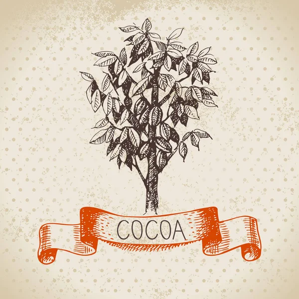 Hand Drawn Sketch Cocoa Chocolate Product Background Vintage Vector Illustration — Stock Vector