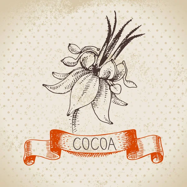 Croquis Dessiné Main Chocolat Cacao Fond Produit Illustration Vectorielle Vintage — Image vectorielle