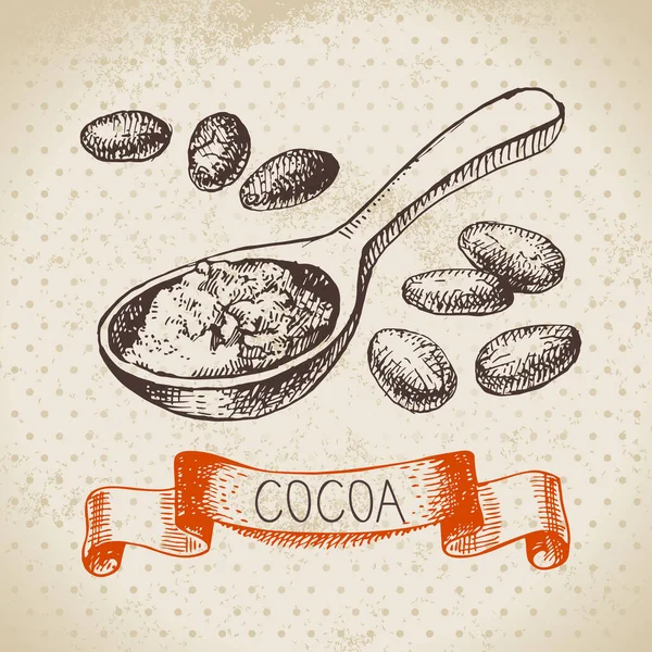 Met Hand Getekend Schets Cacao Chocolade Product Achtergrond Vintage Vector — Stockvector