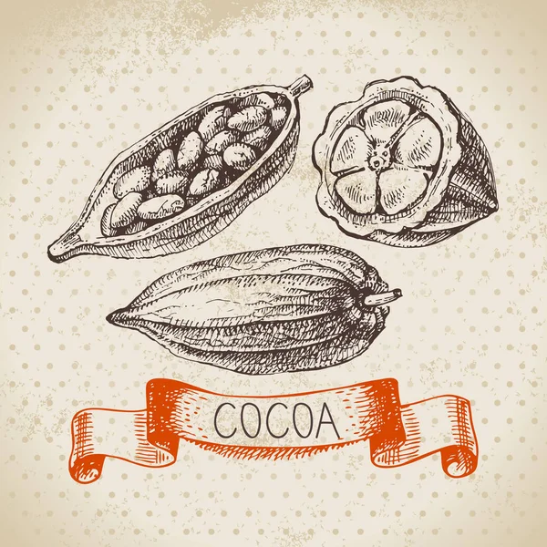 手描きスケッチココアチョコレート製品の背景 自然の健康的な甘い食べ物のヴィンテージベクトルイラスト — ストックベクタ