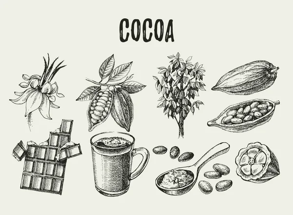 Set Prodotti Cioccolato Cacao Disegnato Mano Illustrazione Vettoriale Vintage Cibo — Vettoriale Stock