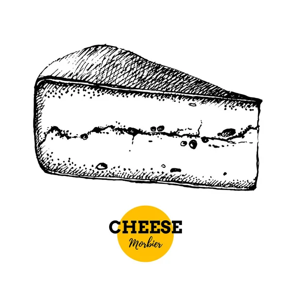 Boceto Dibujado Mano Fondo Morbier Queso Ilustración Vectorial Alimentos Lácteos — Vector de stock