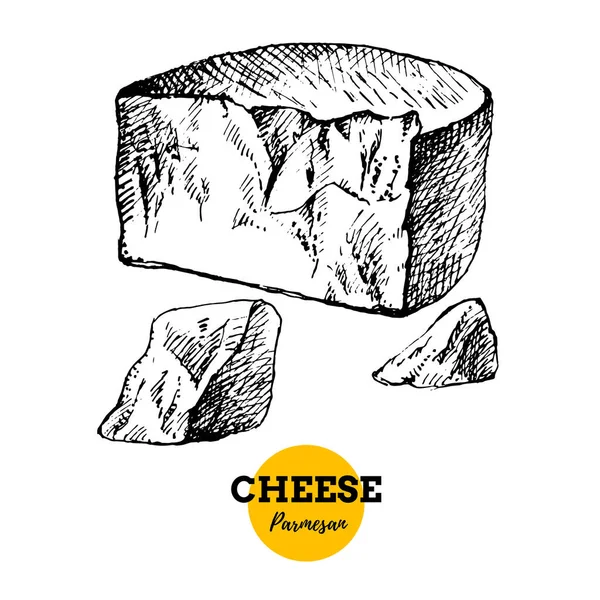 Boceto Dibujado Mano Fondo Parmesano Queso Ilustración Vectorial Alimentos Lácteos — Vector de stock