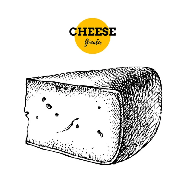 Boceto Dibujado Mano Fondo Gauda Queso Ilustración Vectorial Alimentos Lácteos — Vector de stock