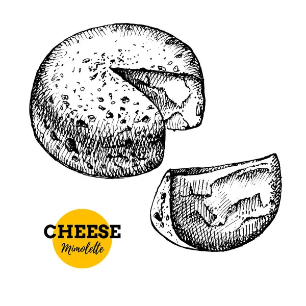 Met Hand Getekend Schets Kaas Mimolette Achtergrond Vector Illustratie Van — Stockvector