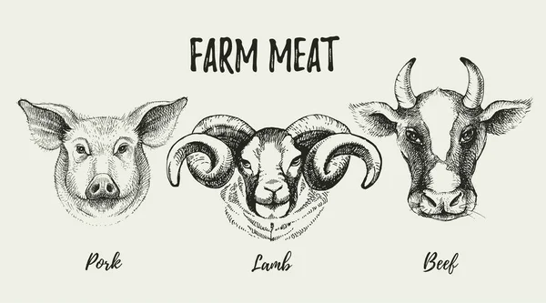 Ручной Рисунок Фермерских Животных Головы Портреты Набора Векторная Черно Белая — стоковый вектор