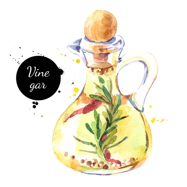 Watercolor Hand Drawn Vinegar Bottle Illustration Vector Painted Sketch Isolated — Stock Vector