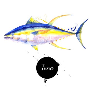 Watercolor yellowfin tuna fish illustration. Vector painted isolated seafood on white background clipart