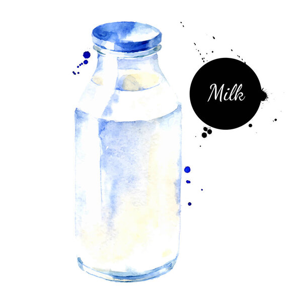 Watercolor milk bottle illustration. Vector painted isolated fresh eco product on white background