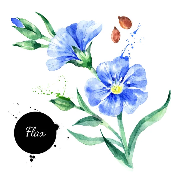 Watercolor Hand Drawn Flax Flower Illustration 벡터는 배경에 스케치를 — 스톡 벡터