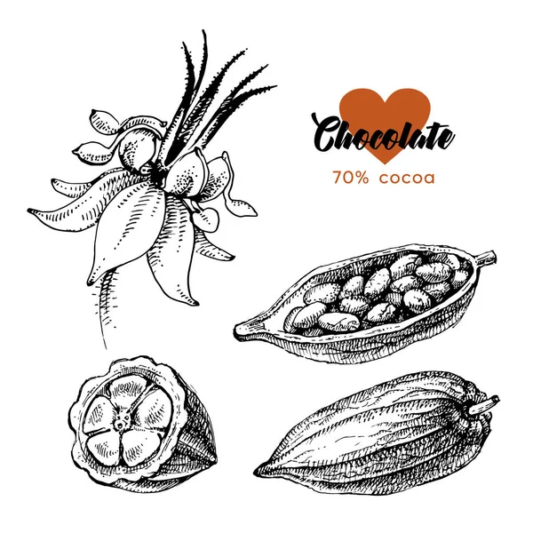 Handgezeichnete Skizze Kakao Schokolade Produkt Hintergrund Vintage Vektorillustration Natürlicher Gesunder — Stockvektor