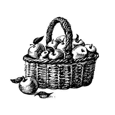 El çizimi çizimi çizim vektörü izole çizim, elma sepeti