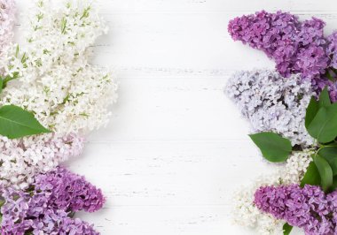 Ahşap arka plan üzerinde renkli eflatun çiçekler. Metin alanı olan üstten görünüm