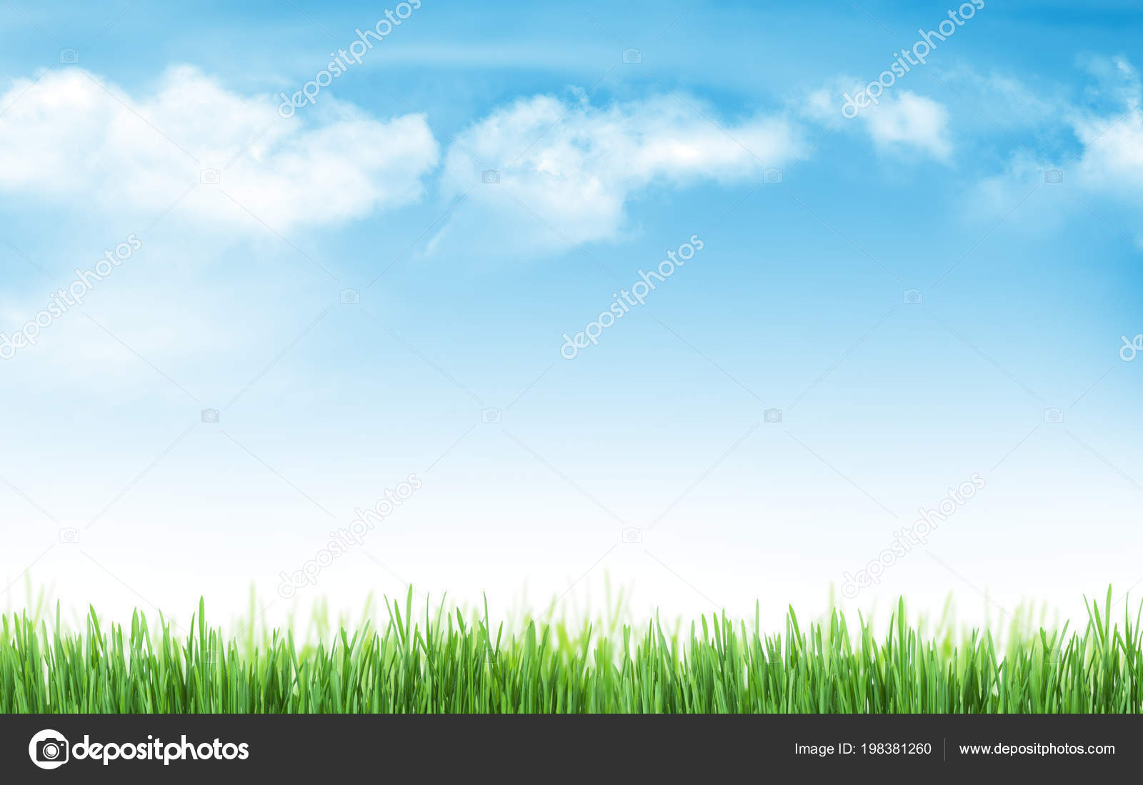 Sunny Summer Background Green Grass Blue Sky Stock Photo Image By C Karandaev
