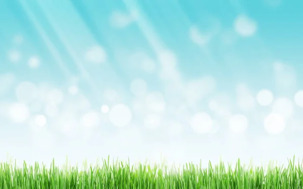 Abstract Summer Background Grass Sunny Bokeh — Stock Photo, Image