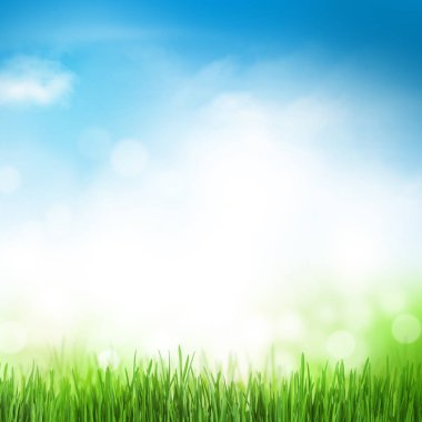 yeşil çim ve bokeh ile mavi gökyüzü güneşli bahar arka plan